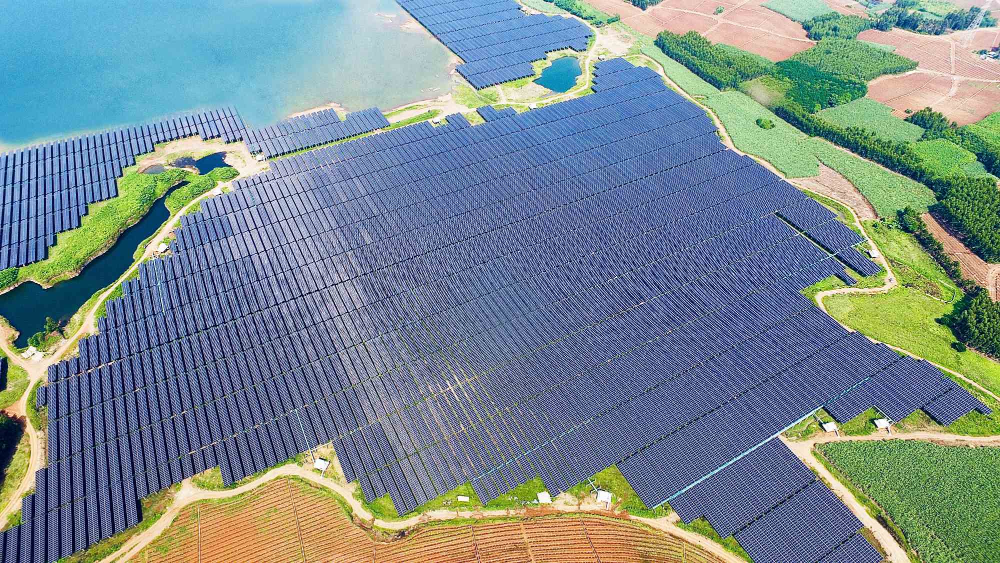 再添殊榮！華躍電力遂溪官田光伏電站項(xiàng)目榮獲“2025年度廣東優(yōu)質(zhì)安裝工程獎(jiǎng)”